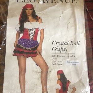 Small Leg Ave crystal ball gypsy / pirate costume